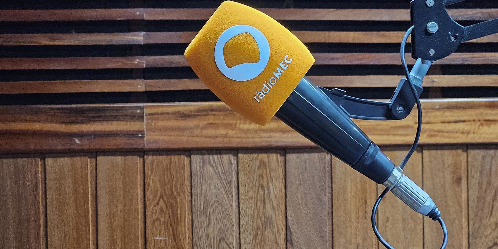 Imagem referente a Sala de Concerto, da Rádio MEC, apresenta ópera Vênus e Adônis