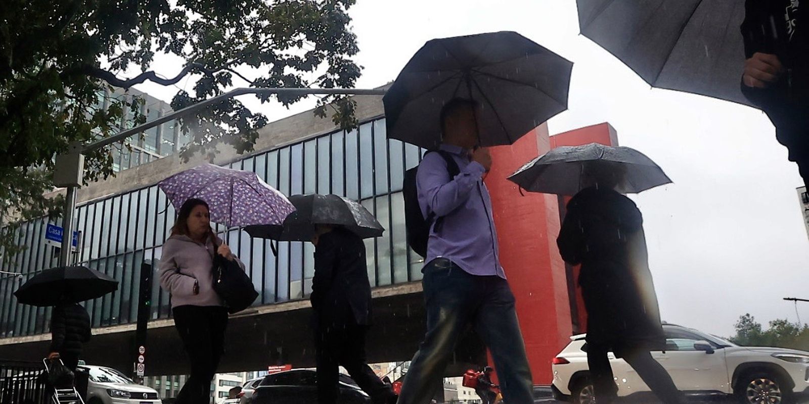 Imagem referente a Fim de semana na capital paulista terá chuva forte e rajadas de vento