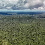 Imagem relativa a Devastação na Amazônia pode quebrar maior 