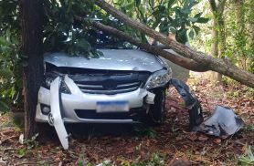 Corolla bate contra árvore e é encontrado abandonado no Parque São Paulo