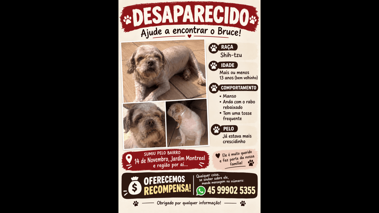 Imagem referente a Cachorro Bruce desapareceu no bairro Montreal