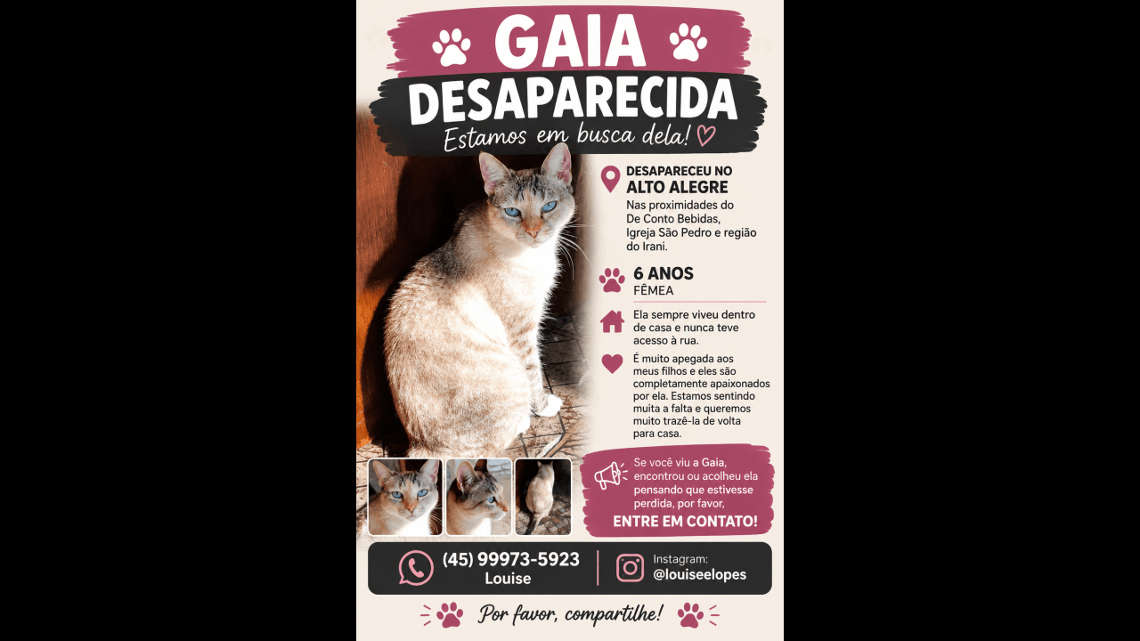 Imagem referente a Gata Gaia desapareceu no bairro Alto Alegre