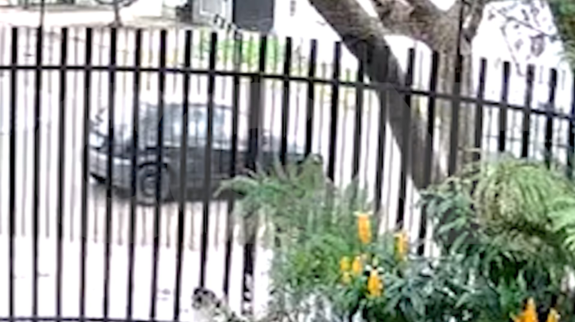 Vídeo flagra acidente entre carro e moto no Bairro Floresta; motorista foge sem prestar socorro
