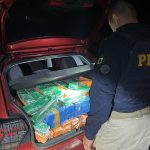 PRF apreende mais de 345 kg de maconha após veículo desobedecer ordem de parada em Jaguapitã Imagem relativa a PRF apreende mais de 345 kg de maconha após veículo desobedecer ordem de parada em Jaguapitã