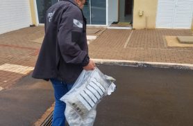 Polícia Civil intercepta drogas em transportadoras de Cascavel; cargas seriam enviadas para outros estados