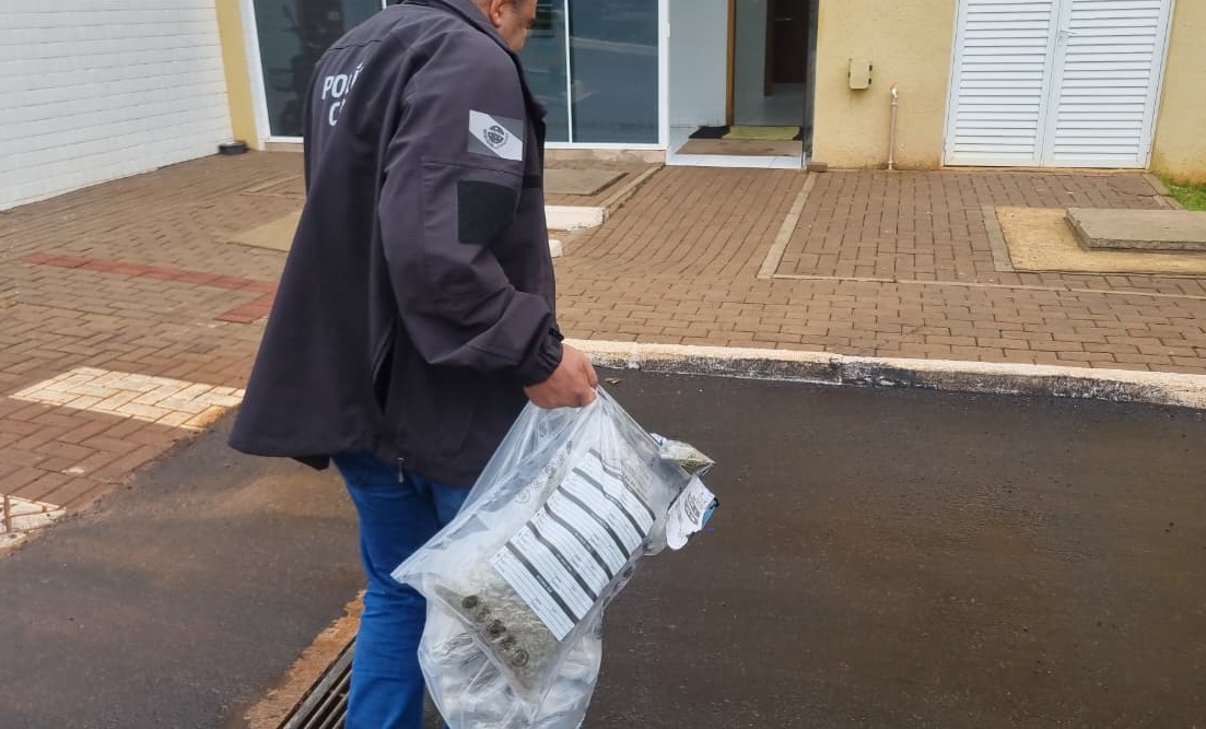 Polícia Civil intercepta drogas em transportadoras de Cascavel; cargas seriam enviadas para outros estados