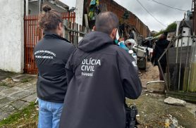 Polícia Civil resgata 11 cães vítimas de maus-tratos em Colombo Polícia Civil resgata 11 cães vítimas de maus-tratos em Colombo