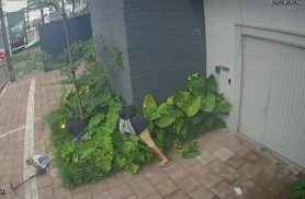 Câmera flagra dupla destruindo jardim de empresa enquanto aparenta procurar algo