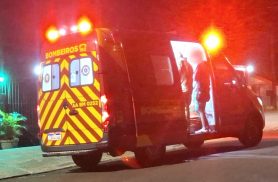 Gato avança contra dona e causa ferimento no braço durante à madrugada no Santa Cruz