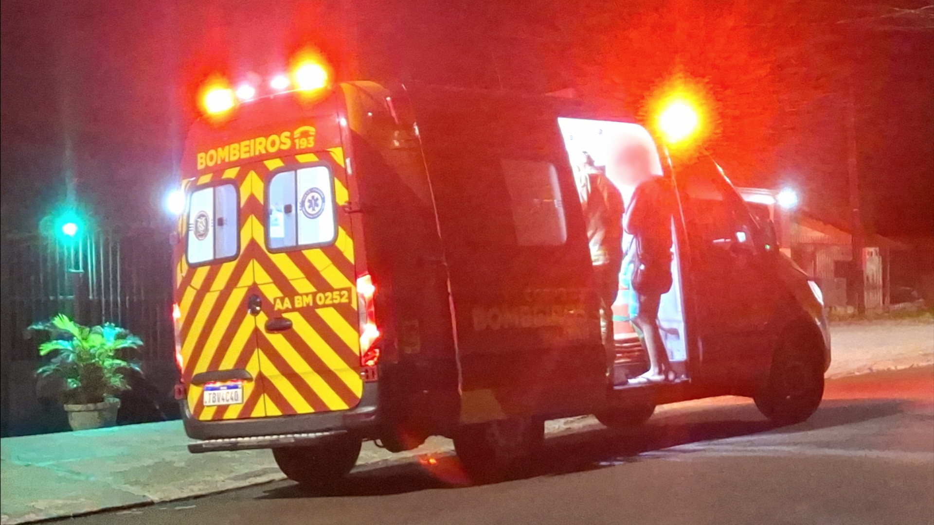 Gato avança contra dona e causa ferimento no braço durante à madrugada no Santa Cruz