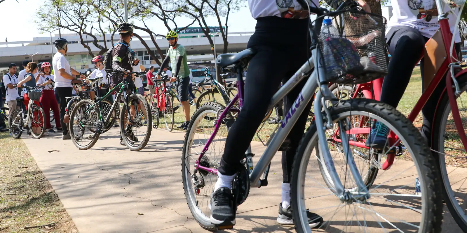 Imagem referente a Justiça aceita denúncia contra 5 acusados de matar ciclista no Rio