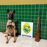 Imagem relativa a BPFRON apreende espingarda durante abordagem a ônibus interestadual em Guaíra