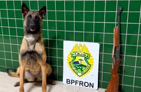 BPFRON apreende espingarda durante abordagem a ônibus interestadual em Guaíra