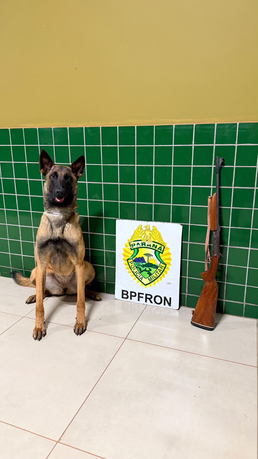 Imagem referente a BPFRON apreende espingarda durante abordagem a ônibus interestadual em Guaíra