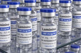Testes clínicos fase 1 da polilaminina começam este mês