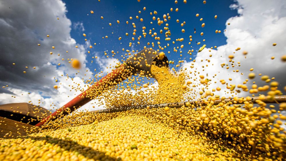 Produção agrícola brasileira superou R$ 927 bilhões em 2025 Imagem referente a Produção agrícola brasileira superou R$ 927 bilhões em 2025
