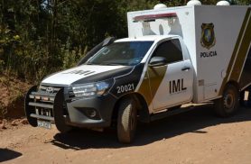 Cinco crânios e outros restos humanos são encontrados na beira de estrada rural