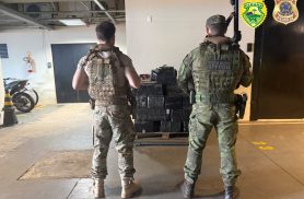 Quase 740 kg de maconha são encontrados escondidos em mata às margens do Lago de Itaipu, em Guaíra