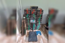 Polícia Civil apreende 554 kg de maconha e prende suspeito no Barreirinha, em Curitiba