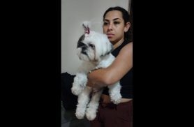 Cachorra é encontrada no bairro Floresta
