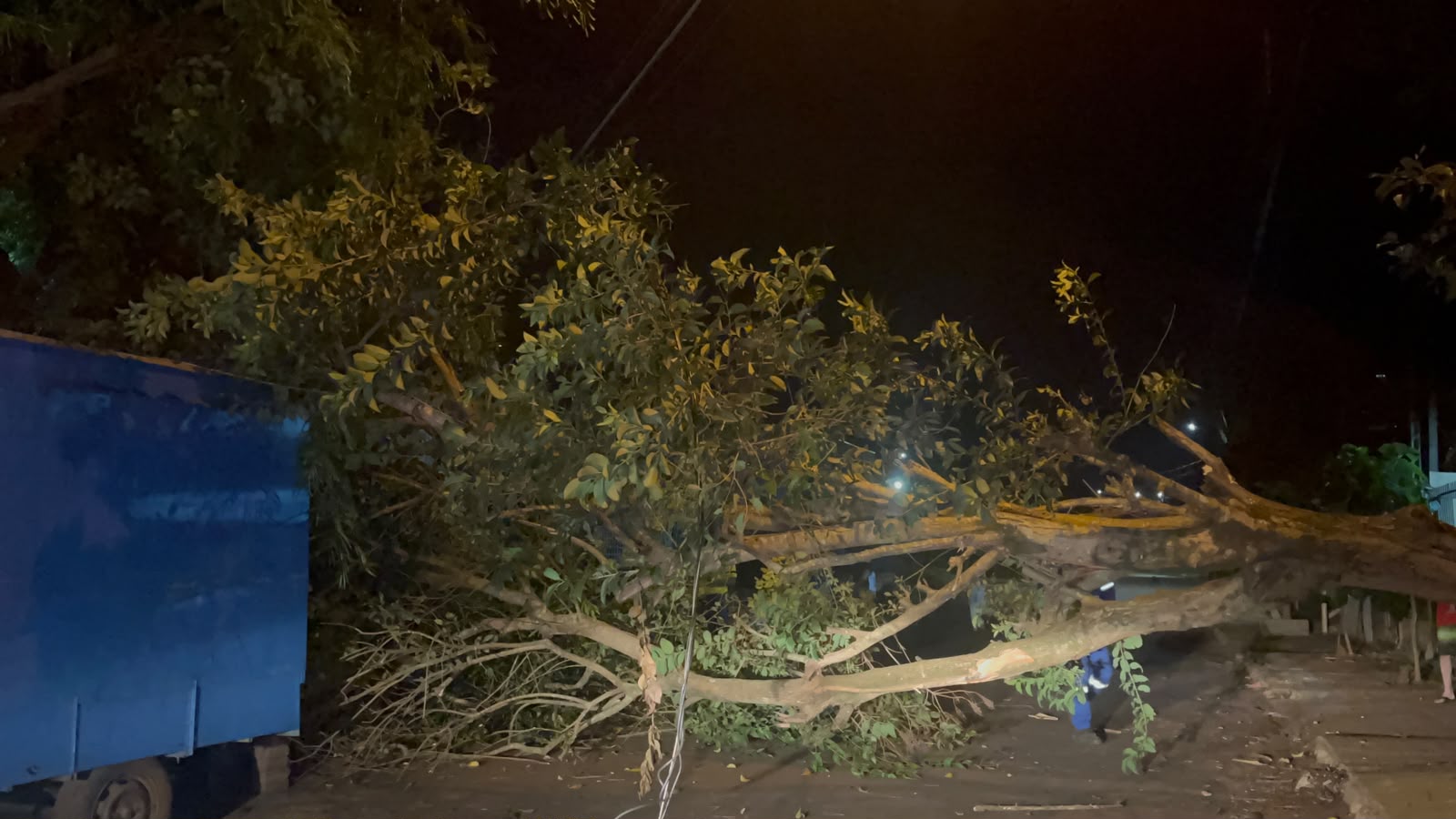 Árvore parte ao meio, atinge poste e fiações e bloqueia a via no Bairro Tarumã, em Cascavel