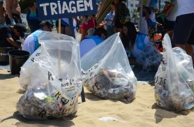 Praias de cinco estados vão receber mutirões de limpeza em setembro