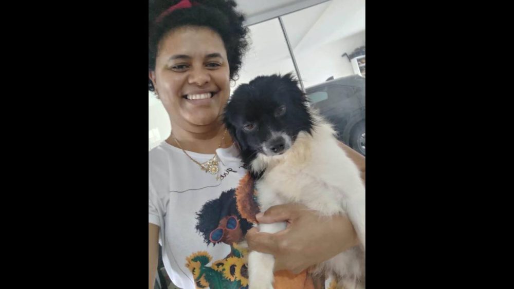 Imagem referente a Cachorro Duque desapareceu no bairro Country