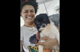 Cachorro Duque desapareceu no bairro Country