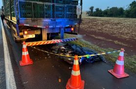 Homem de 28 anos morre em colisão entre moto e caminhão na BR-163