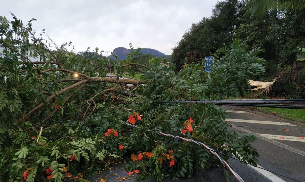 Imagem referente a Alerta de tempestade: frente fria amplia instabilidade na Região Sul