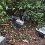 Imagem relativa a Mais de 520 kg de maconha são apreendidos e dois paraguaios são presos em Foz do Iguaçu