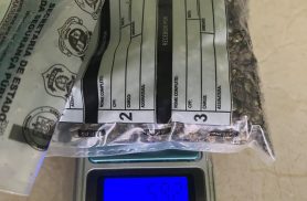 Apreensão de maconha em Cascavel ocorre durante abordagem no bairro Interlagos Apreensão de maconha em Cascavel ocorre durante abordagem no bairro Interlagos