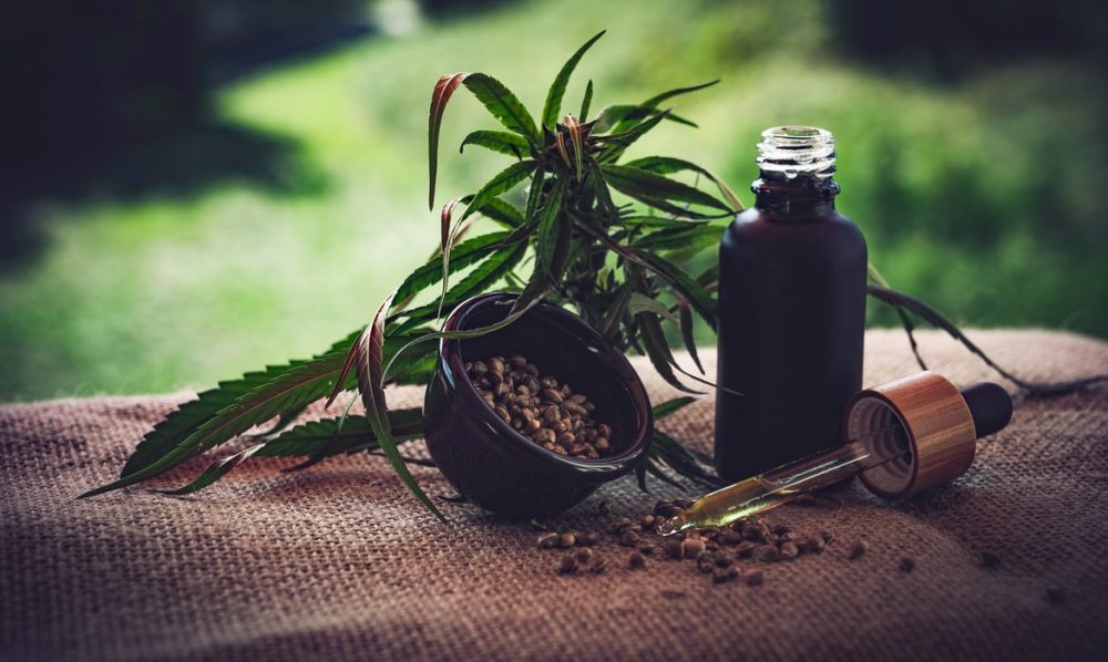 Para associações, normas ainda deixam pontos em aberto sobre cannabis Imagem referente a Para associações, normas ainda deixam pontos em aberto sobre cannabis