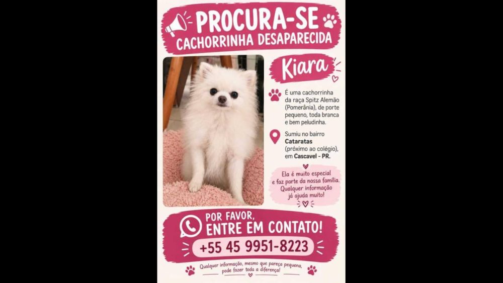 Cachorra Kiara desapareceu no bairro Cataratas Imagem referente a Cachorra Kiara desapareceu no bairro Cataratas