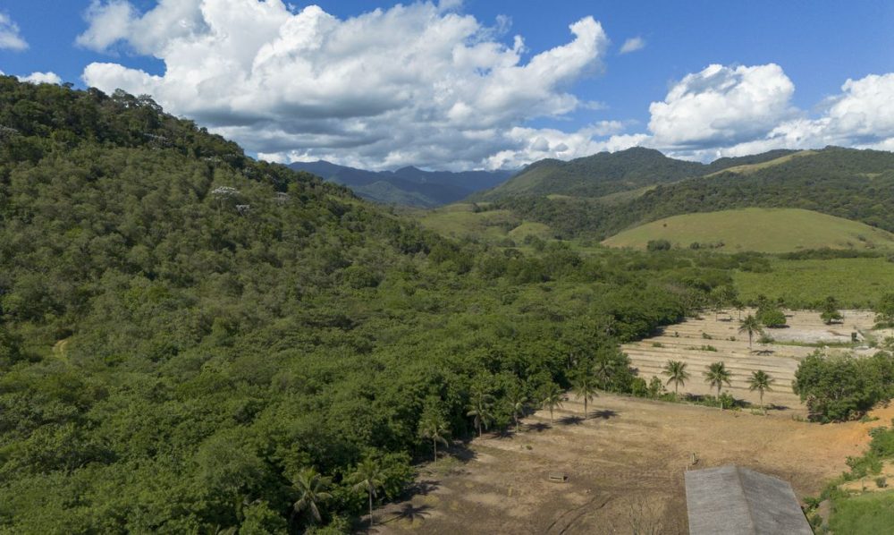 Imagem referente a Agricultura ganha 11 milhões de hectares em 41 anos na Mata Atlântica
