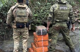 Apreensão de maconha em Foz do Iguaçu mobiliza PF, PM e Exército