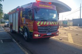 Jararaca é capturada pelo Corpo de Bombeiros em condomínio de Cascavel