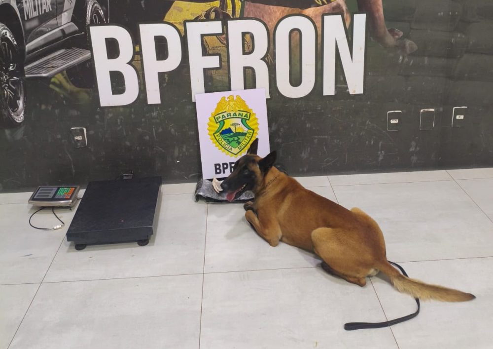 Mulher é presa com mais de 6 kg de haxixe presos ao corpo na rodoviária de Umuarama Imagem referente a Mulher é presa com mais de 6 kg de haxixe presos ao corpo na rodoviária de Umuarama