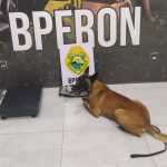 Imagem relativa a Mulher é presa com mais de 6 kg de haxixe presos ao corpo na rodoviária de Umuarama