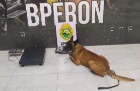 Mulher é presa com mais de 6 kg de haxixe presos ao corpo na rodoviária de Umuarama