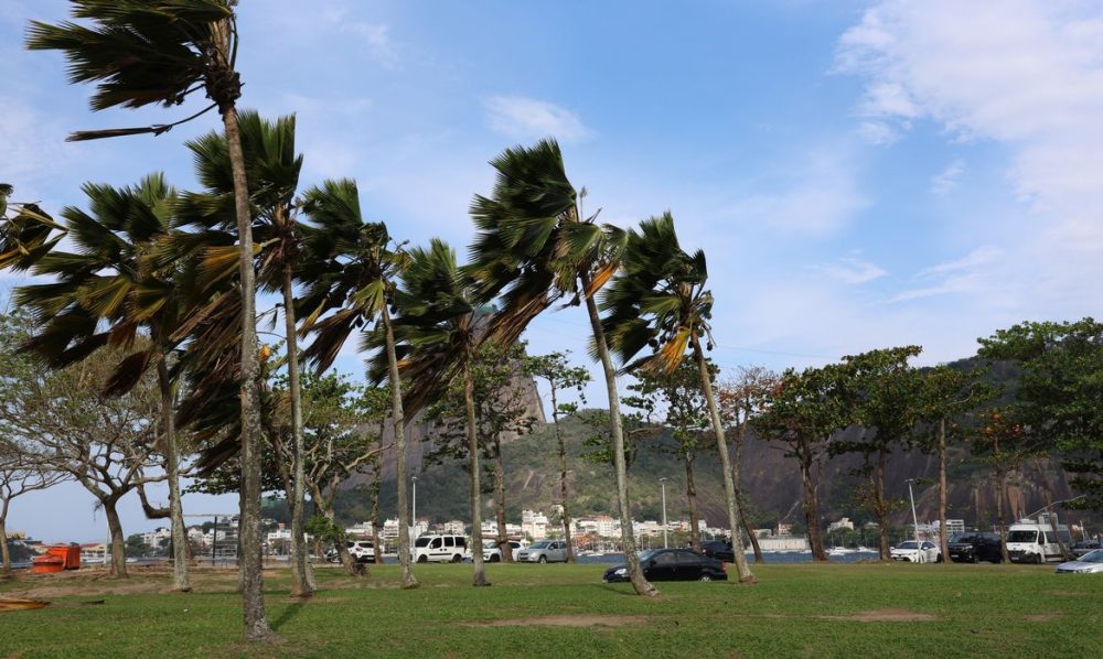 Imagem referente a Defesa Civil alerta para ventos fortes na cidade do Rio
