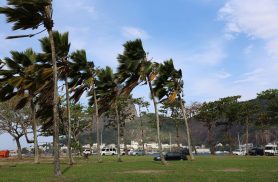 Defesa Civil alerta para ventos fortes na cidade do Rio