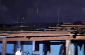 Temporal causa estragos e derruba árvores em Santa Tereza do Oeste