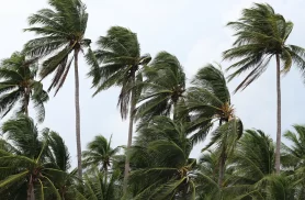 Defesa Civil do Rio emite novo alerta para chuvas e ventanias