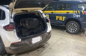 Motorista é preso após tentar atropelar policiais e transportar 150 kg de maconha na BR-487