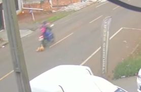 Motociclista atropela cachorrinha e não presta socorro; Instituto faz resgate e pede providências