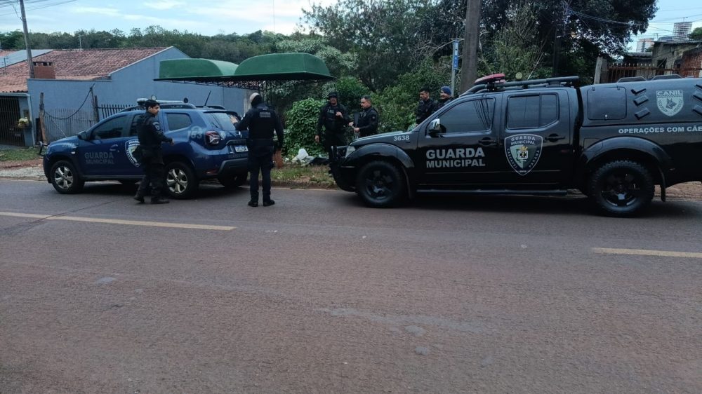 Imagem referente a Guarda Municipal faz operação na 