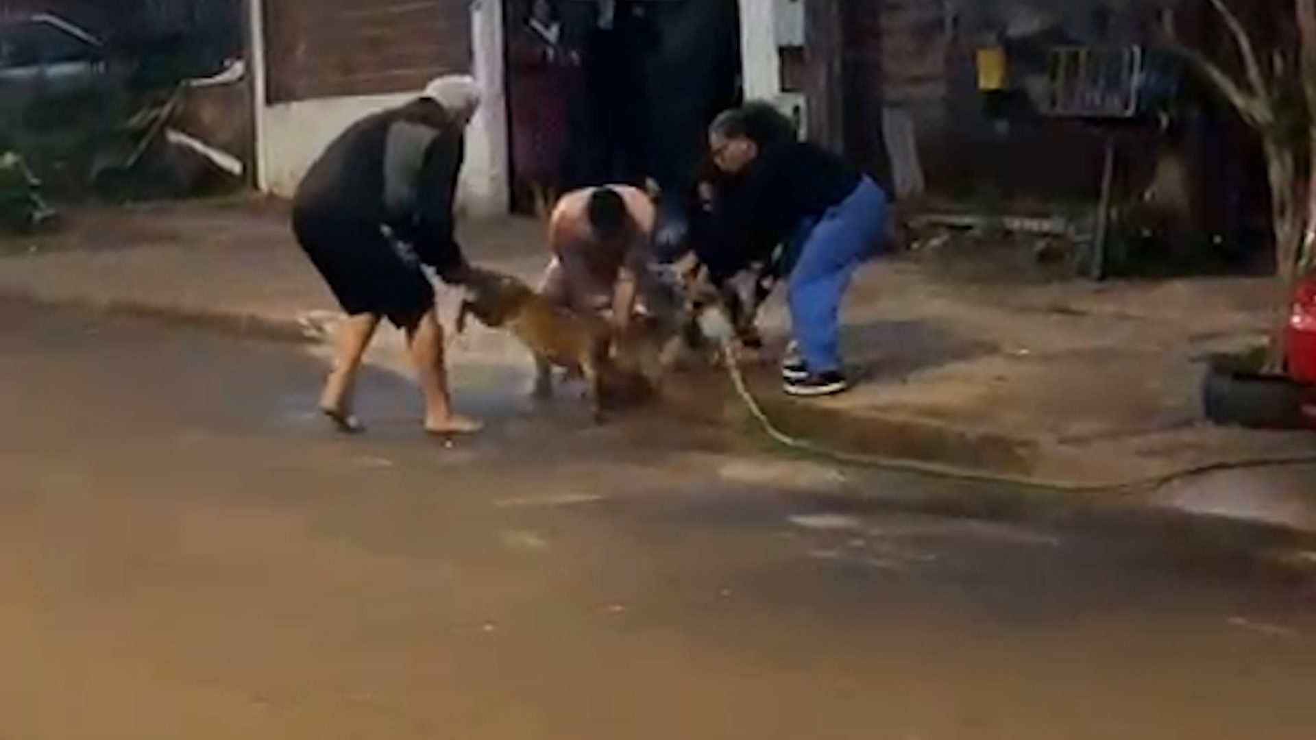 Vídeo impressionante mostra ataque de Pitbull em Cascavel; vizinhos cobram providências urgentes