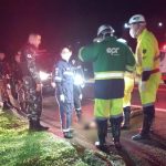 Imagem relativa a PRF detalha atropelamento com morte na rodovia BR-277