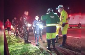PRF detalha atropelamento com morte na rodovia BR-277